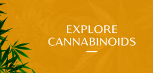 Explore Cannabinoids