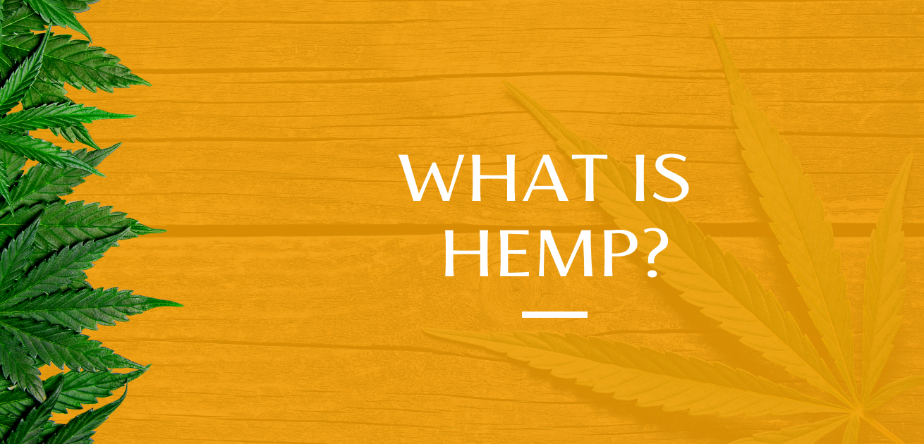 Understanding Hemp